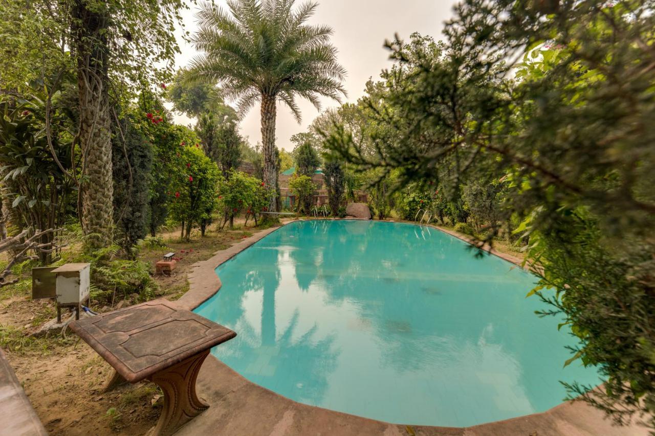 Hostie Chinar Haveli - Heritage Home With Pool, Gurgaon Exteriör bild