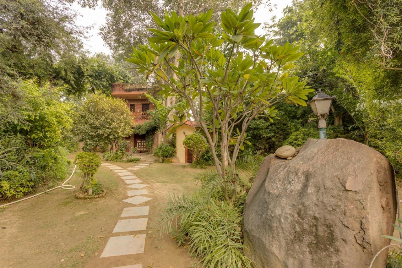 Hostie Chinar Haveli - Heritage Home With Pool, Gurgaon Exteriör bild