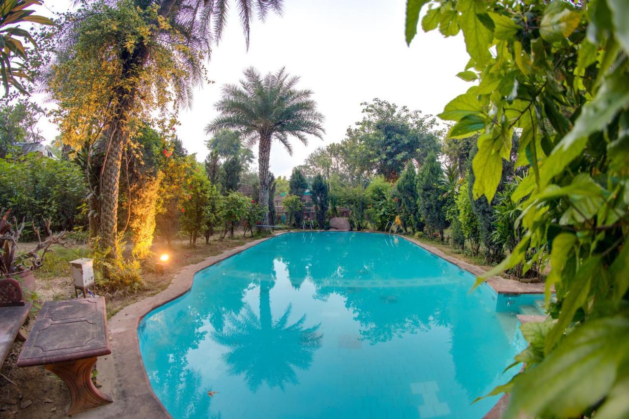 Hostie Chinar Haveli - Heritage Home With Pool, Gurgaon Exteriör bild
