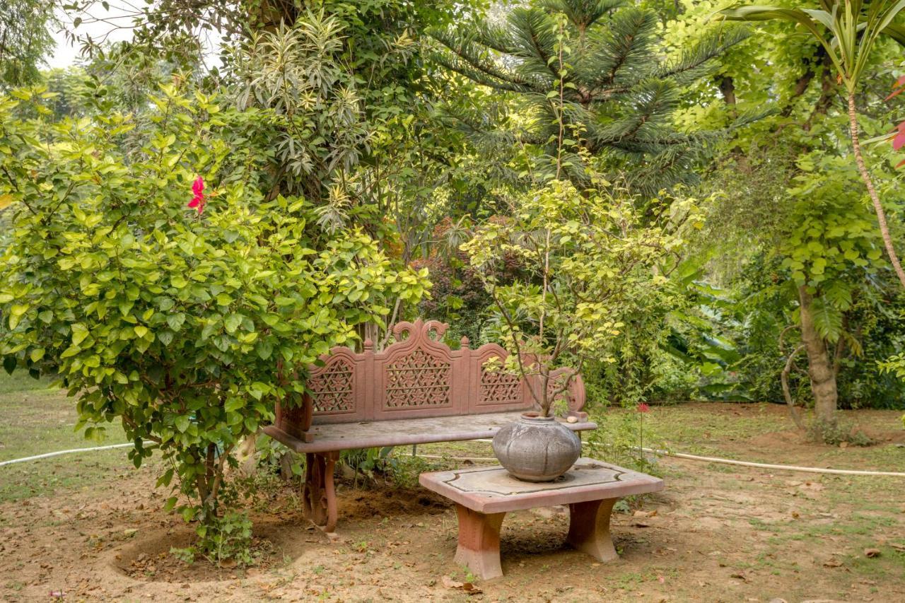 Hostie Chinar Haveli - Heritage Home With Pool, Gurgaon Exteriör bild
