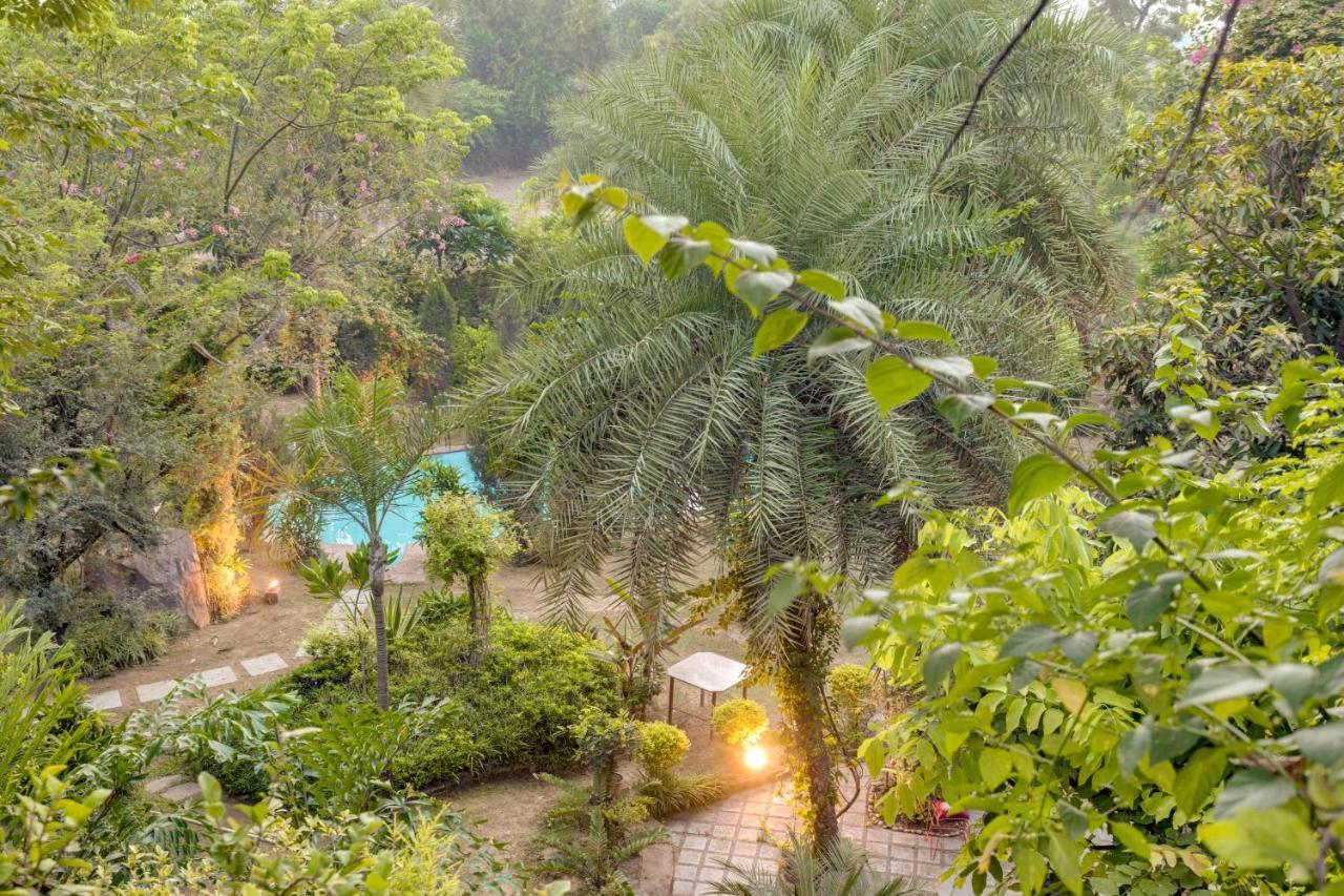 Hostie Chinar Haveli - Heritage Home With Pool, Gurgaon Exteriör bild