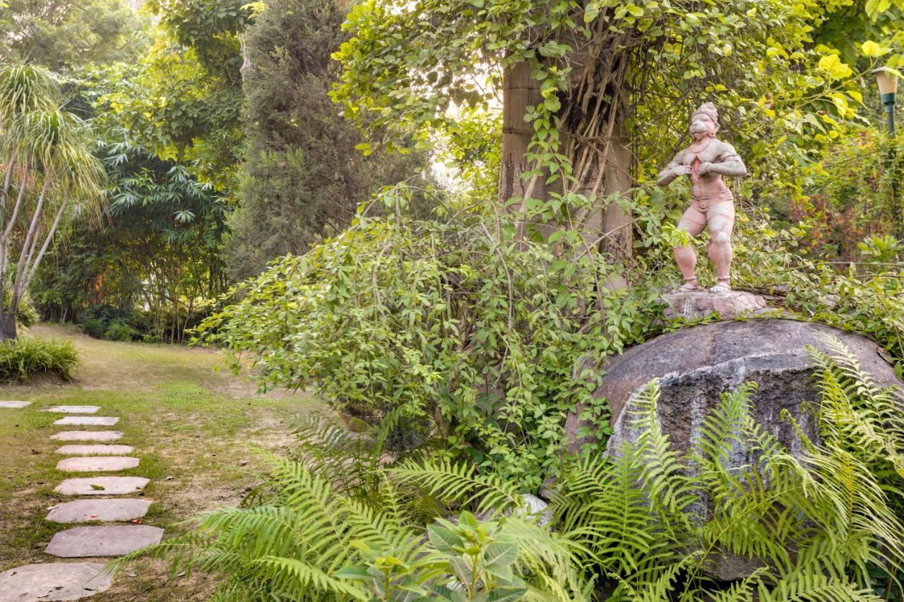 Hostie Chinar Haveli - Heritage Home With Pool, Gurgaon Exteriör bild