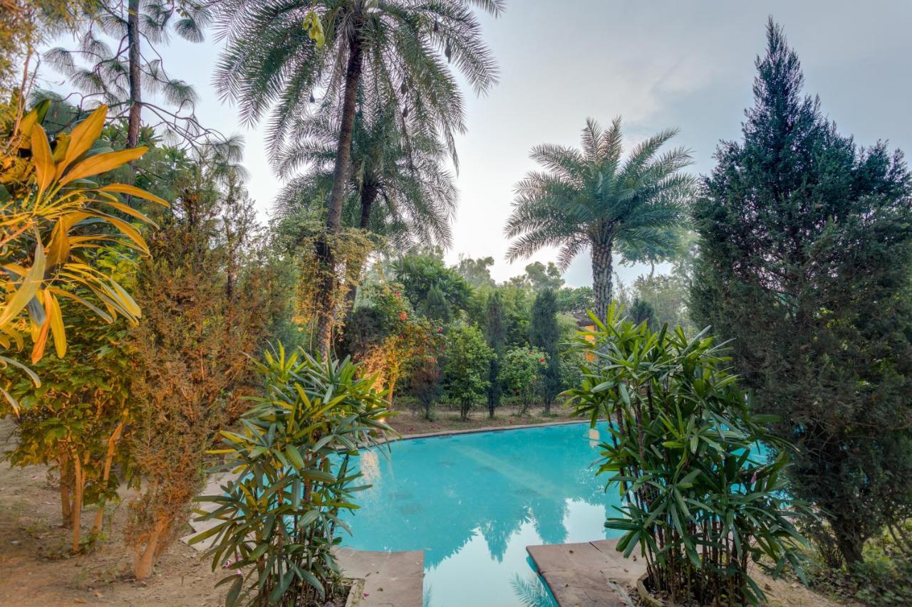 Hostie Chinar Haveli - Heritage Home With Pool, Gurgaon Exteriör bild