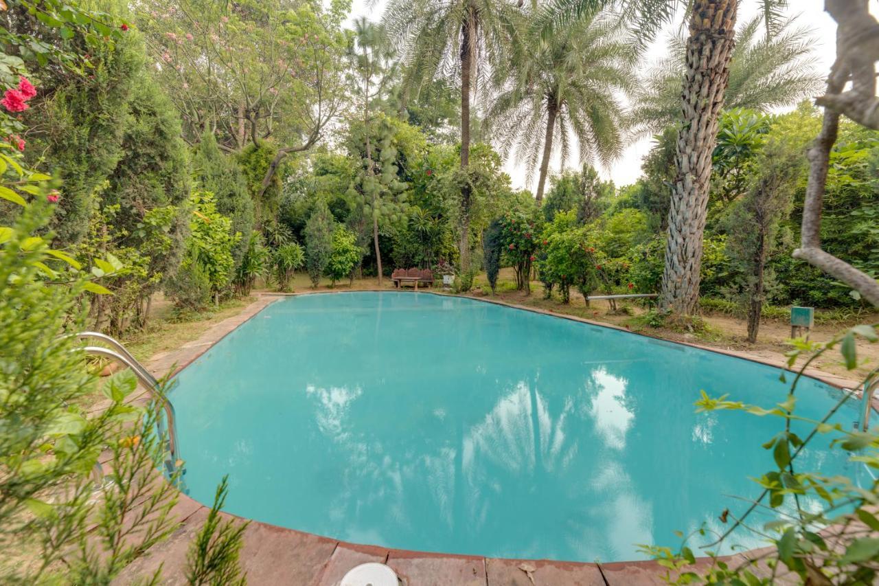Hostie Chinar Haveli - Heritage Home With Pool, Gurgaon Exteriör bild