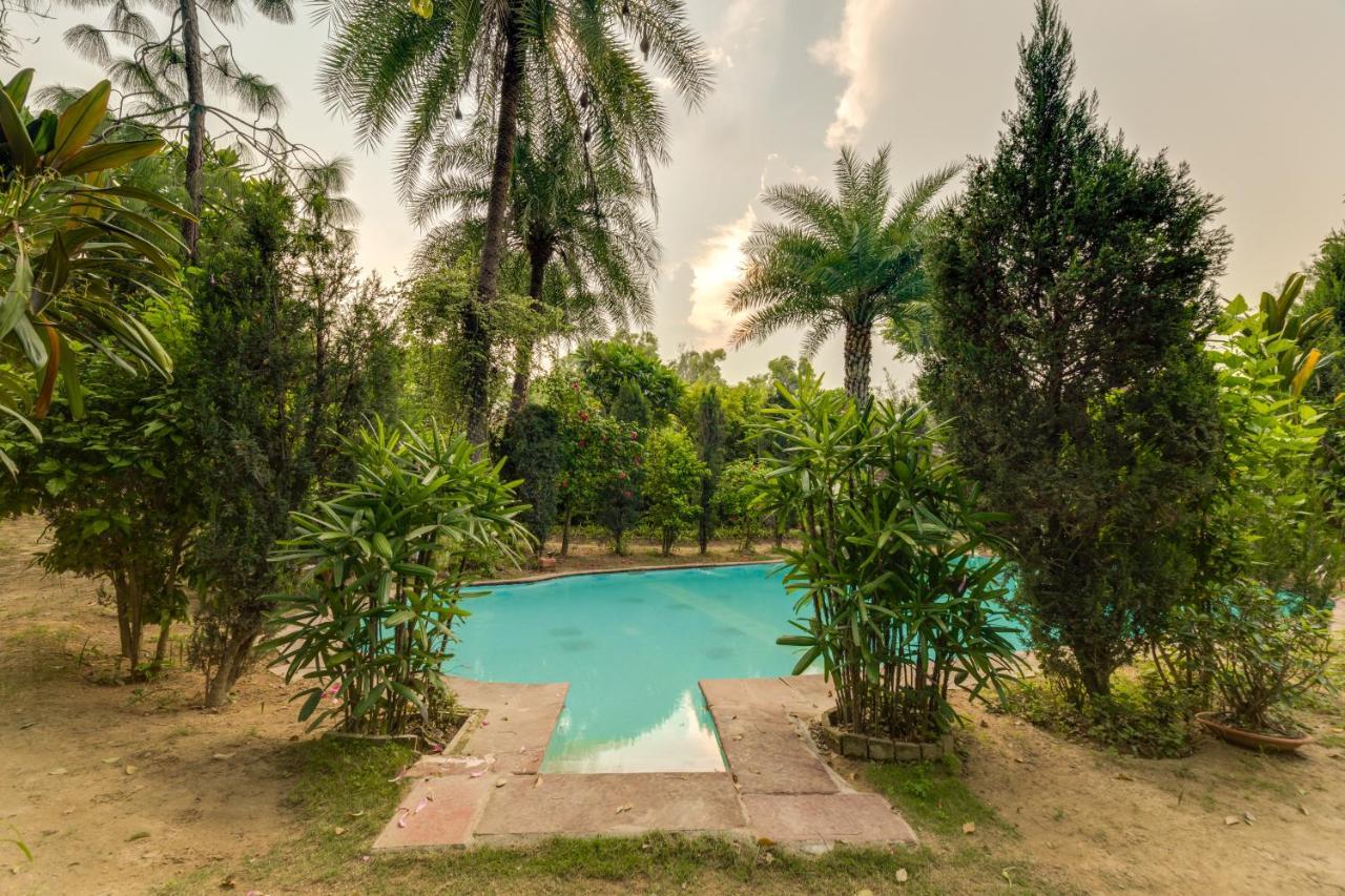 Hostie Chinar Haveli - Heritage Home With Pool, Gurgaon Exteriör bild