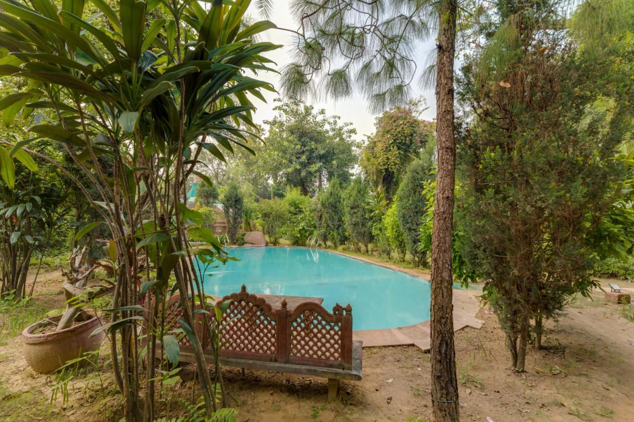 Hostie Chinar Haveli - Heritage Home With Pool, Gurgaon Exteriör bild